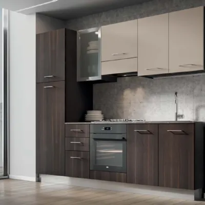 Crea una cucina moderna lineare con Arrex Composizione 255 a soli 2995€.