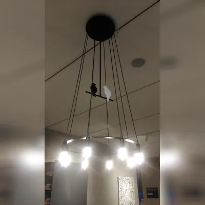 Lampadario Karman modello Birdy nero scontato