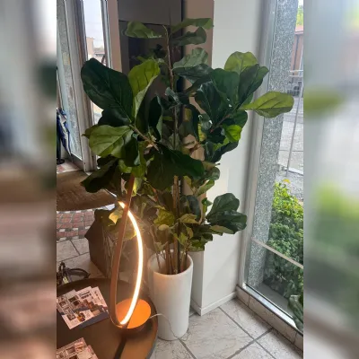 Oggettistica Artigianale Ficus lyrata grande pianta finta in OFFERTA OUTLET!