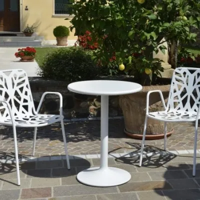 Sedia Fancy leaf 2 Collezione esclusiva con un ribasso vantaggioso