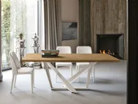 Tavolo in legno rettangolare Priamo 200 Mottes selection in offerta outlet