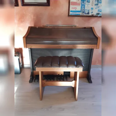 Mobile di Antiquariato in stile arte povera con un ribasso del 81%