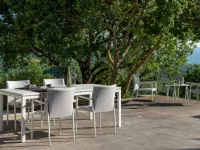 Adam Talenti: Arredo Giardino con forte sconto