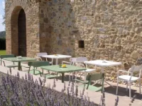 Sedia da giardino Grace a marchio Emu a prezzi outlet 