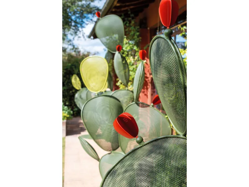 Set Emu Ficus  con uno sconto esclusivo