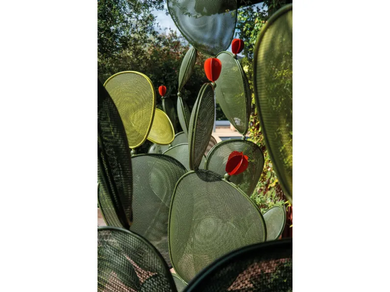 Set Emu Ficus  con uno sconto esclusivo