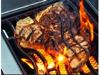 Barbecue Freestyle f425 sib infrarosso Napoleon ad un prezzo davvero vantaggioso