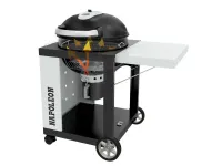 Barbecue Pro22ck-c Napoleon in Offerta Outlet