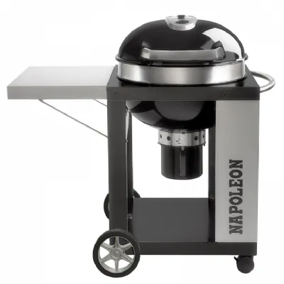 Barbecue Pro22ck-c Napoleon in Offerta Outlet