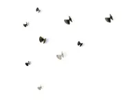 Mogg modello bice farfalle