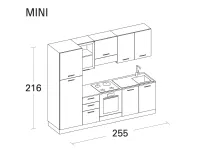 Crea una cucina moderna lineare con Arrex Composizione 255 a soli 2995.