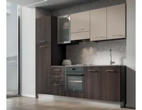 Crea una cucina moderna lineare con Arrex Composizione 255 a soli 2995€.