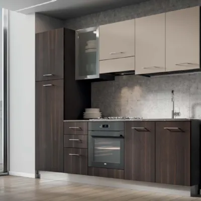 Crea una cucina moderna lineare con Arrex Composizione 255 a soli 2995.