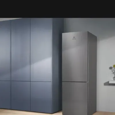 Frigorifero Electrolux Frigor electrolux da esterno ad un prezzo mai cos� conveniente