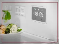Frigorifero Electrolux  lnt6me32u2 ad un prezzo mai cos conveniente