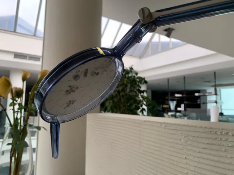 Da tavolo Aledin tec Kartell a prezzo scontato 