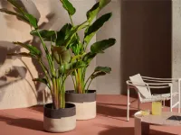 Oggettistica design modello Podor in offerta Outlet