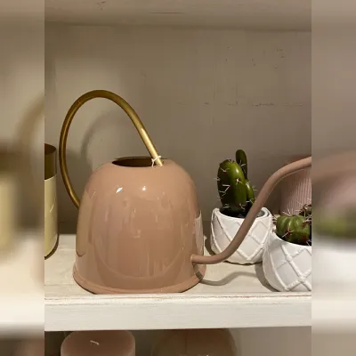 Oggettistica moderna modello Annaffiatoio di Collezione esclusiva in Offerta Outlet