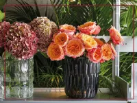 Oggettistica moderna modello Jelly a prezzi Outlet