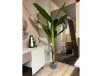 Oggettistica Pianta banano di Bizzotto in offerta - 30%