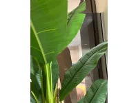 Oggettistica Pianta banano di Bizzotto in offerta - 30%