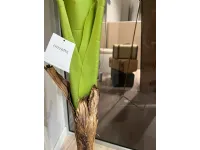 Oggettistica Pianta banano di Bizzotto in offerta - 30%