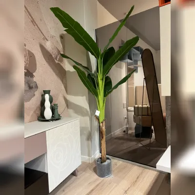 Oggettistica Pianta banano di Bizzotto in offerta - 30%