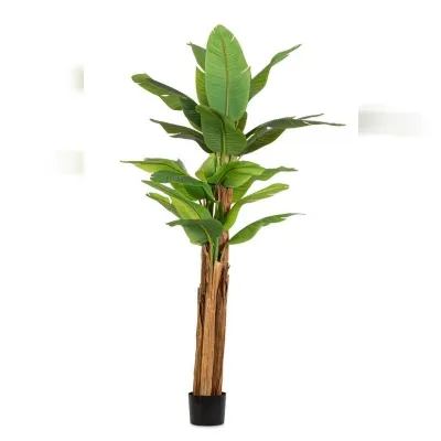 Oggettistica design Pianta banano di Bizzotto scontata del 30%