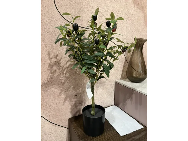 Oggettistica modello Pianta ulivo di Bizzotto in offerta