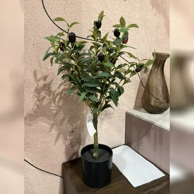 Oggettistica modello Pianta ulivo di Bizzotto in offerta