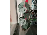 Oggettistica Pianta monstera grande verde salvia Artigianale a prezzo scontato