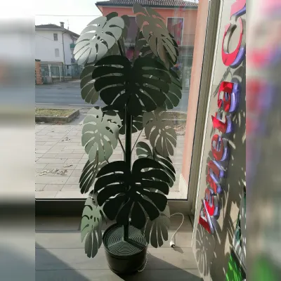 Pianta monstera grande verde salvia Artigianale in stile moderno a prezzo ribassato