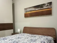 QUADRO Adriani e rossi 01-ex78 SCONTATO