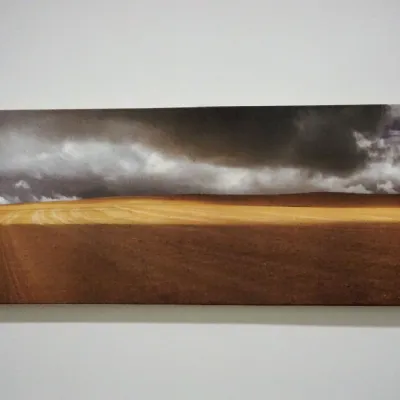 QUADRO Adriani e rossi 01-ex78 SCONTATO