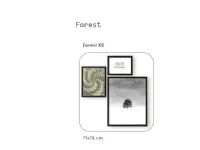QUADRO Tomasella Forest xs SCONTATO