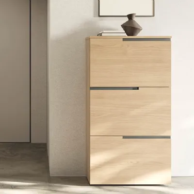Scarpiera modello Gola up di Birex in melaminico a prezzo Outlet