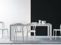 Sedia Caffe Connubia by Calligaris. Prezzo riservato!