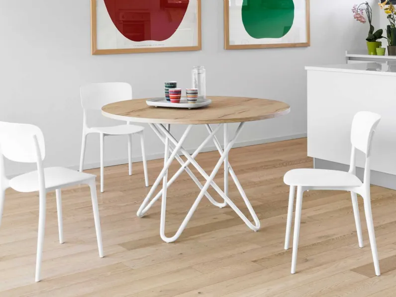 SEDIA Calligaris Liberty  PREZZI OUTLET