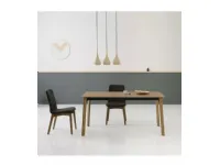 Sedia Cloe 5 Point house con uno sconto vantaggioso