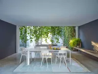 Sedia da soggiorno realizzata in plastica A.i. di Kartell 