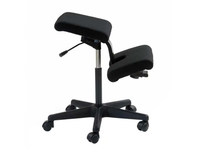 Sedia ergonomica Wing di Varir con un ribasso del 10%