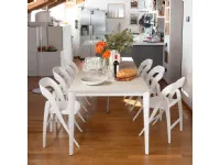 Sedia da cucina 4 sedie click clack  pieghevoli spedib di Collezione esclusiva SCONTATA 51%