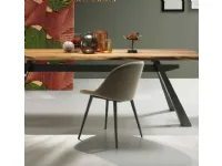 Sedia modello Sonny * da soggiorno di Midj -35%