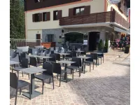 Sedia Chlo trend chair di Scab: richiedi il prezzo 