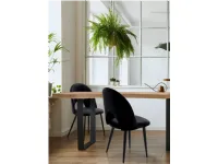 Sedia in tessuto poltroncina Sedia imbottita  in velluto modello nail in Offerta Outlet