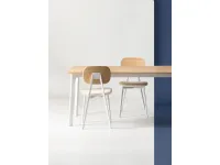 Sedia Tata for the planet Point house SCONTATA a PREZZI OUTLET
