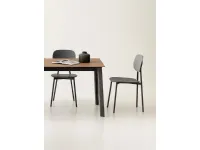 Sedia Tata young da cucina realizzata in metallo scontata del 35%