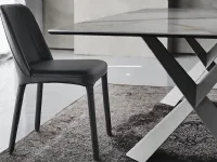 Sedia Wilma Cattelan: sconto su ecommerce!