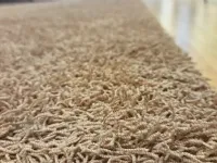 Tappeto modello Tappeto monocolore sabbia 270x240 Sitap a prezzi imbattibili