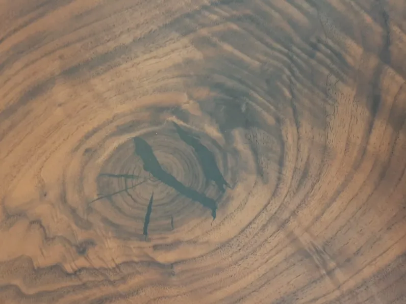 Tavolo in legno rettangolare Vero Arte brotto in offerta outlet